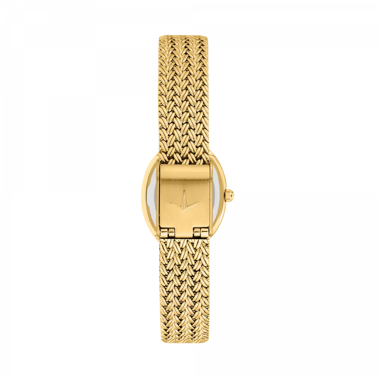 Orologio Lucien Rochat precieux donna in acciaio dorato bracciale mesh con quadrante silver